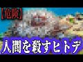 1分でわかる動物紹介 絶対にこのヒトデには近づいてはいけない…【キモカワな水生生物#10】#shorts