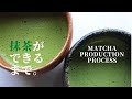 抹茶ができるまで。｜Matcha Production in uji/kyoto