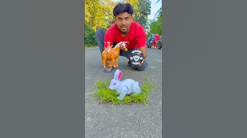 Re: Paarden- versus RC-konijnentesten 😱