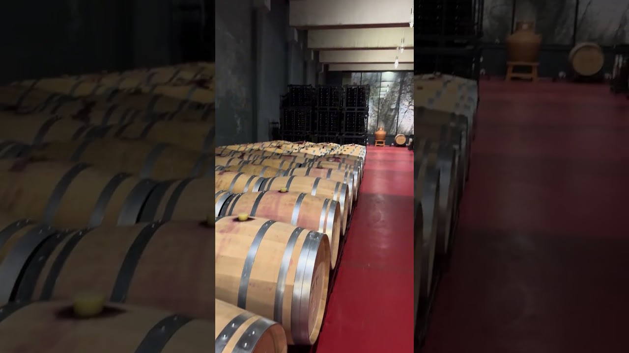 The Can Axartell barrel room carved into the mountain ⛰️🛢️🇪🇸
