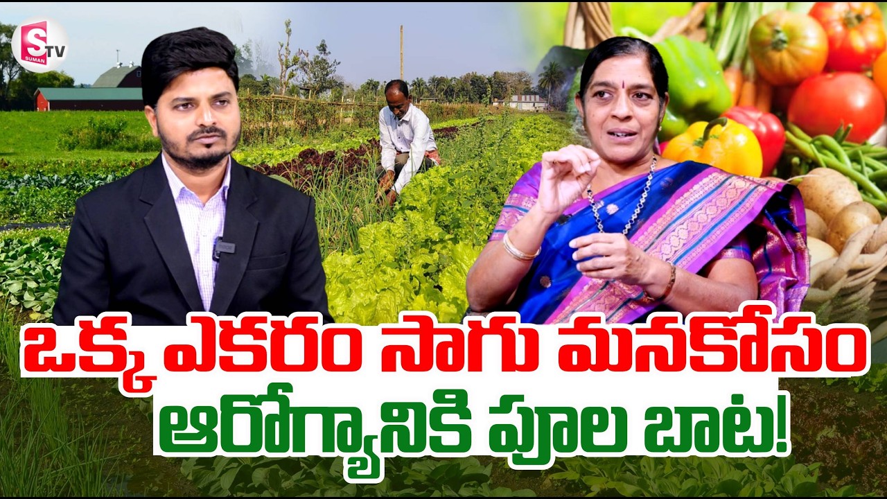 ఒక్క ఎకరం సాగు మనకోసం | Vegetables Farming techniques | Farmer's Expert Dr. Padmaja |  SumanTV Sai​