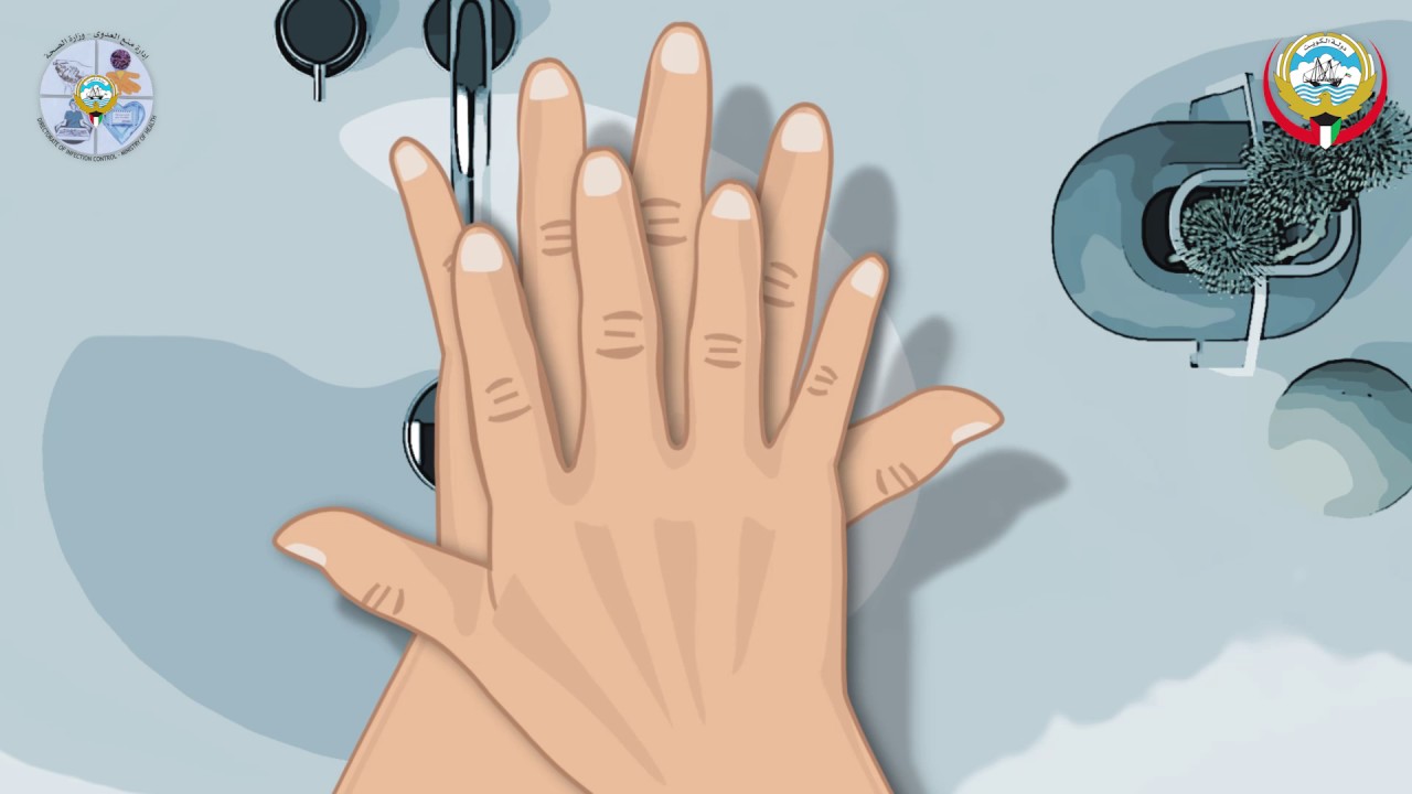 National Hand Hygiene Campaign