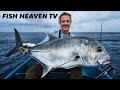 REVIEW JORAN PANCING JACK'S VISION REDJACK OLEH PEMANCING BELANDA LANGSUNG DI LAUT PASIFIK ‼️ 2023