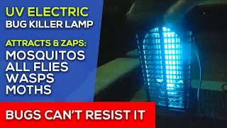 ** MOSQUITO Zapper in Action ** Testing a 4000V UV Mosquito Killer Insect Zapper Lamp