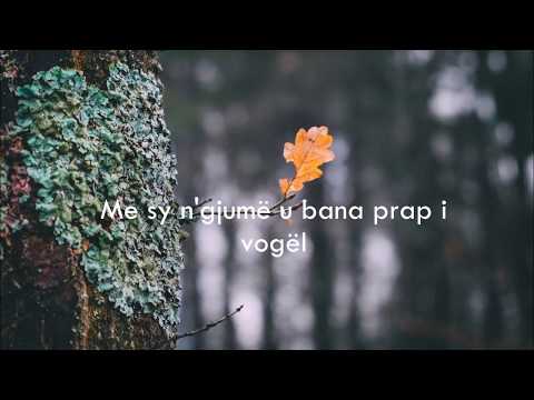 Shpat Deda -  Ninullë (Lyric Video)