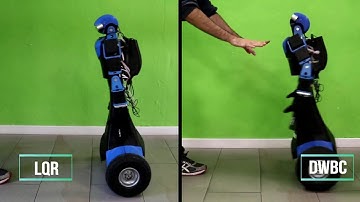 DYNAMIC WHOLE-BODY CONTROL