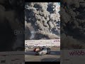 Миллиардные потери Wildberries из-за атак дронов ВСУ