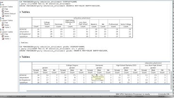 Lesson #7: Custom Tables in SPSS