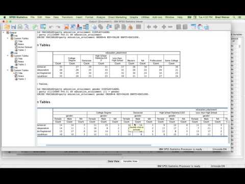 Video: Jak vytvořím popisnou tabulku v SPSS?