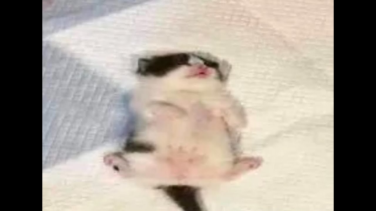 sleep-schedule-fix-hoga-livewitharjun-youtube