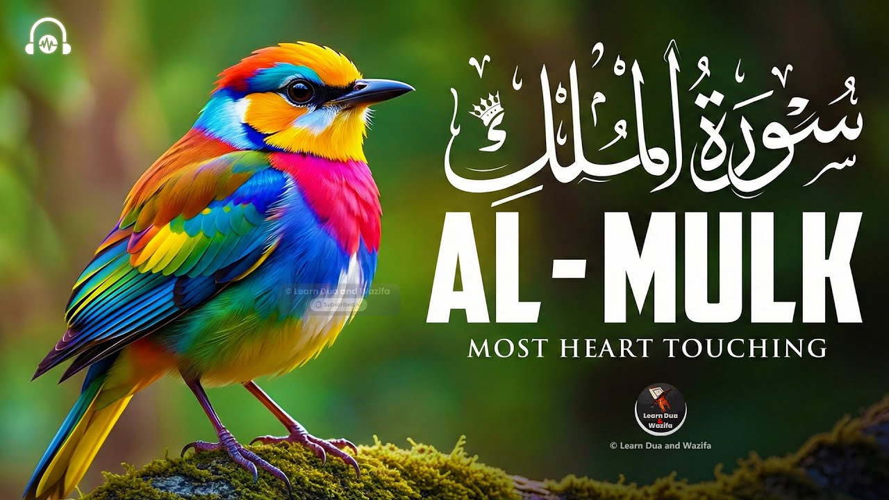 Surah Al-Mulk سورة الملك | Majestic Peaceful Recitation for Body and Soul Relaxation 
