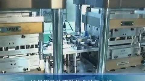 Matrix Trim Form Singulation Machine