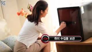 Eaglesafes Premium Safes