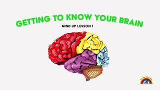 Mind Up Lesson 1 Getting To Know Your Brain