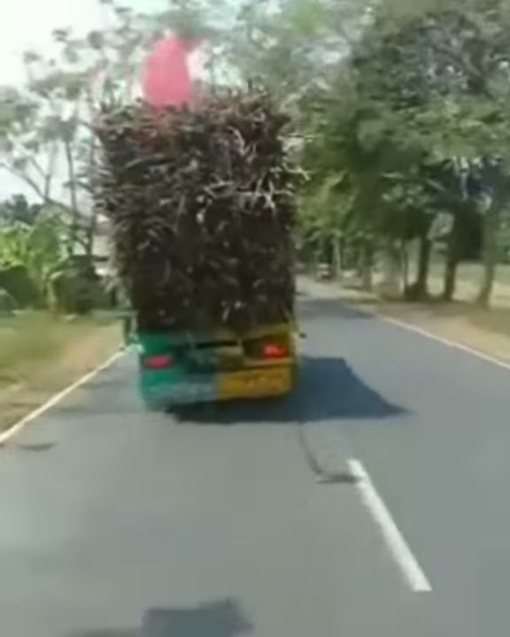 Goyangan truk bikin kasih jempol