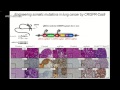 Jacks T (2015): Engineering the cancer genome