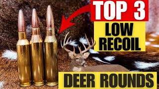 Top 3 Light Recoiling Cartridges for Deer [Including My Hunting Footage With All 3]