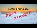 НАЕДИНЕ с ПРИРОДОЙ. Рыбалка без слов | Fishing in the Murmansk region