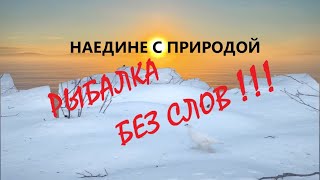 НАЕДИНЕ с ПРИРОДОЙ. Рыбалка без слов | Fishing in the Murmansk region