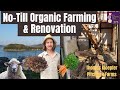 No-Till Organic Farming &amp; Renovation | Thomas Kloepfer Pitchfork Farms | Mukaishima Japan Ep373