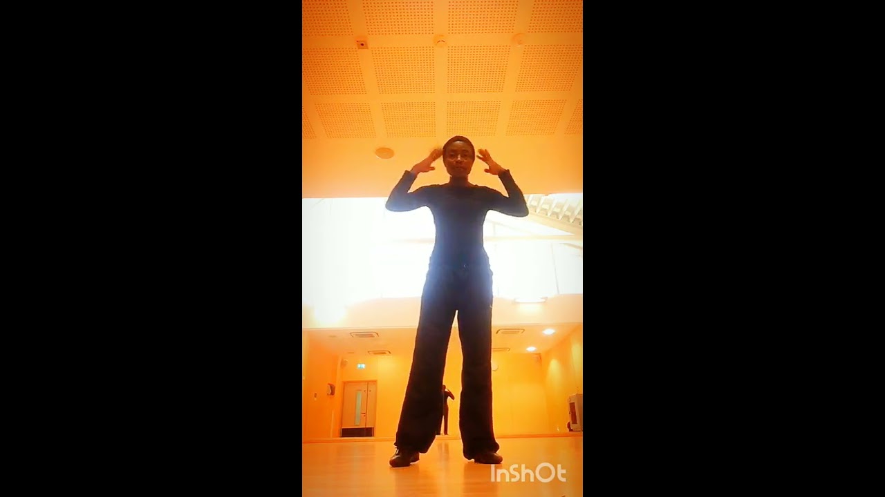 Tonte Dance Techniques Kick Ball Change Varieties to Street Dance Hip