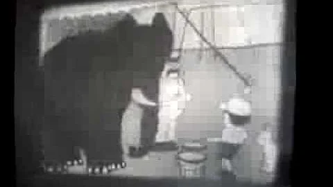 Bray Studios cartoon silent film short
