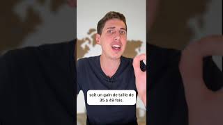 Compression de modèles IA (quantization / pruning / distillation)