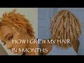 How I grew my locs FAST in 3 months! | Goldey Locs