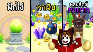 ฟักไข่ หาเงิน ผสมสัตว์หายาก | Collect All Pets Roblox