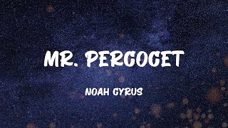 Noah Cyrus - Mr. Percocet (Lyrics)