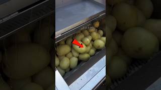 🥦 जापान की सब्ज़ी धोने वाली मशीन 😲 | केवल 12 मिनट में सारी सब्ज़ियाँ साफ ⚡#automobile #vegetables