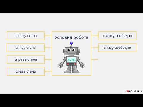 Видеоурок по информатике "Основные алгоритмические конструкции"