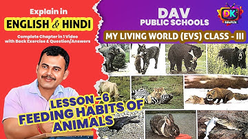 DAV class 3 Science Chapter 6 Feeding Habits of Animals – Solutions | DAV class 3 Science Chapter 6