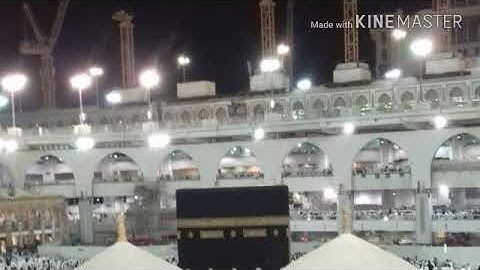 《¤💐تلاوة ما تيسر 💐¤》 《♡من سورة♡》 《💐فصلت💐》♡و♡《💐النازعات💐》 /بصوت/:- 《~ماجد اليافعي