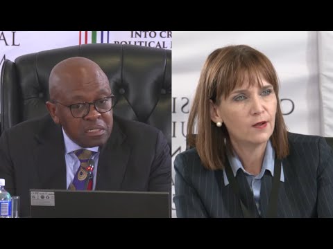 WATCH | Van Wyk’s legal team says he is suffering panic attacks