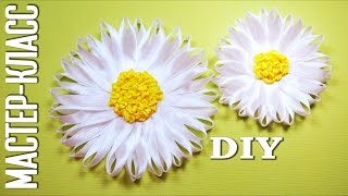 Мастер-класс: РОМАШКИ из атласных лент! Канзаши / DIY Сamomile Kanzashi / ✿ NataliDoma Мастер-класс: РОМАШКИ из атласных лент! Канзаши / DIY Сamomile Kanzashi / ✿ NataliDoma