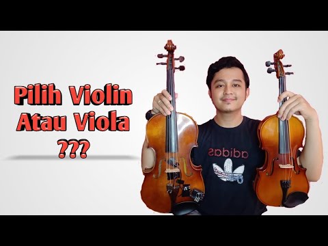 Video: Perbedaan Antara Violin Dan Viola