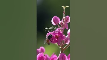 الآية 90 من سورة النحل الآية 90 بصوت الشيخ صلاح بوخاطر