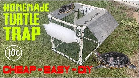 EASY DIY floating turtle trap - How to catch pond turtles like a BOSS