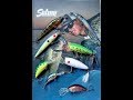 Salmo lures story#2