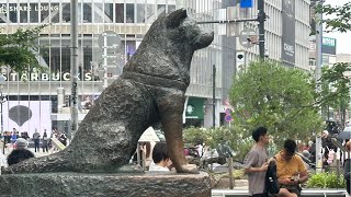 Lets meet at Hachiko Statue