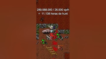 E se o TOP 1 de Rookgaard jogasse em Main? 🤔 Qual lvl seria o Leaver? Tibia #Shorts