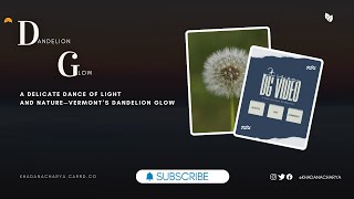 DG | Dandelion Glow screenshot 3