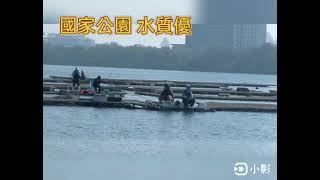 台南 台江國家公園 大員港 筏釣 釣遊 蚵棚大石班