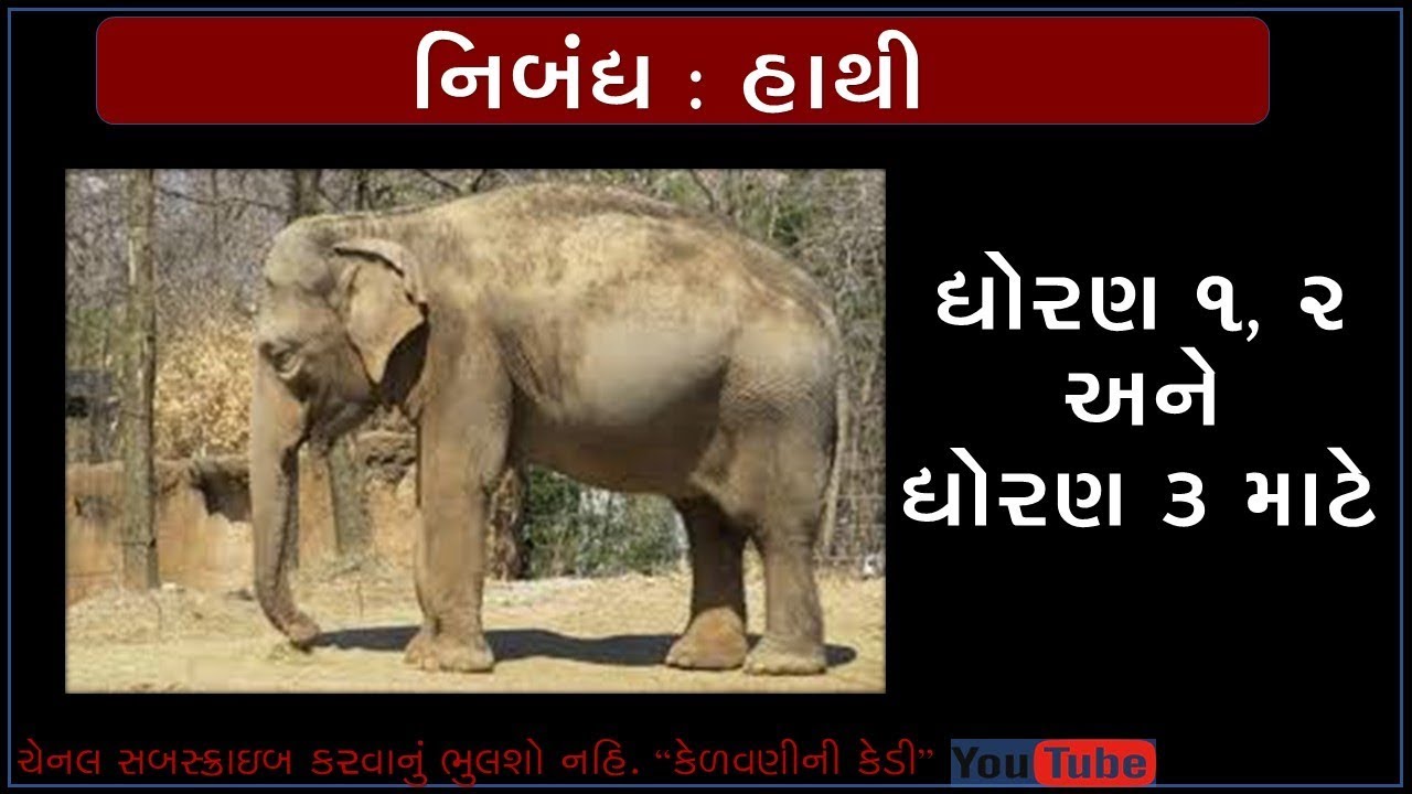 essay of elephant in gujarati