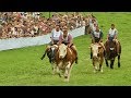 Скачки на быках в Баварии привлекли тысячи зрителей (новости)