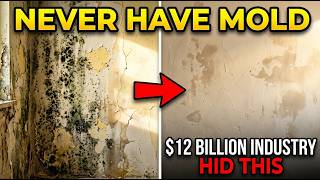 Why Amish Homes Never Have Mold — The "Lime" Secret $12 Billion Industry Buried
