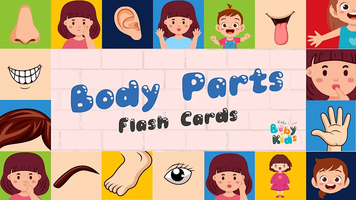 Body Parts Flash Cards for Kids | Video Flash Cards | Learn to Talk | Vocabulary in English