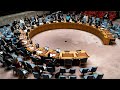 Douglas Murray: UN is the ‘plaything of dictators’
