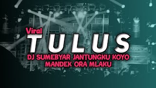 DJ SUMEBYAR JANTUNGKU KOYO MANDEK ORA MLAKU ( TULUS VIRAL TIKTOK )
